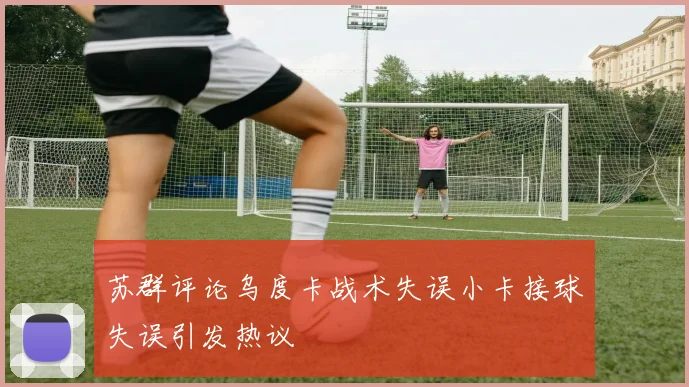 苏群评论乌度卡战术失误小卡接球失误引发热议