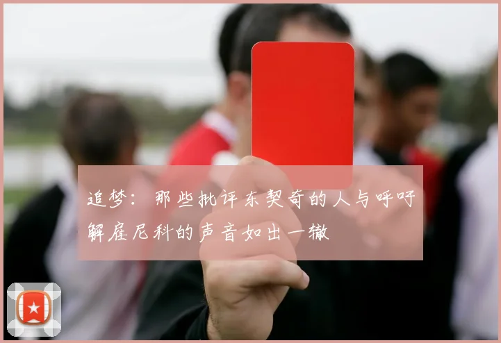 追梦：那些批评东契奇的人与呼吁解雇尼科的声音如出一辙